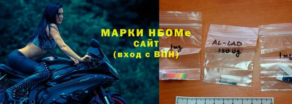 прущие грибы Верхний Тагил