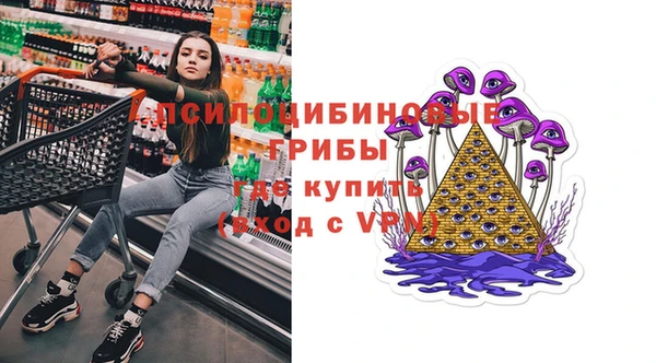 прущие грибы Верхний Тагил