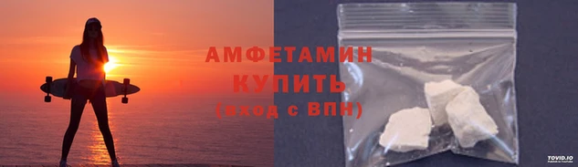 прущие грибы Верхний Тагил