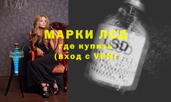 прущие грибы Верхний Тагил