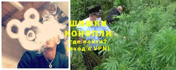 прущие грибы Верхний Тагил