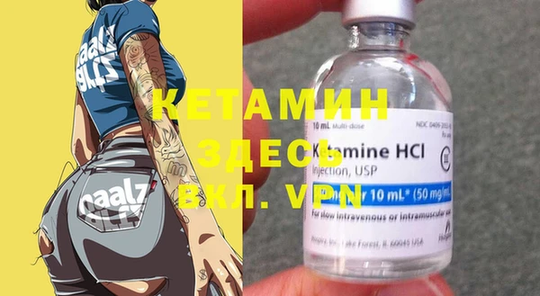 прущие грибы Верхний Тагил