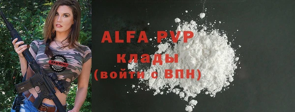 прущие грибы Верхний Тагил
