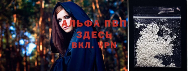 прущие грибы Верхний Тагил