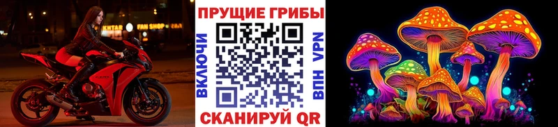 Галлюциногенные грибы GOLDEN TEACHER  Купить закладки  Лосино-Петровский 